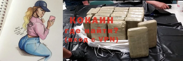 тгк Новозыбков