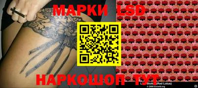 индика Шахты