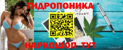 apvp Янаул