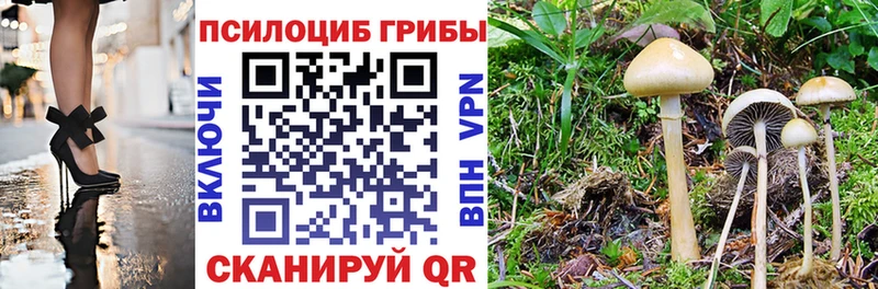 Галлюциногенные грибы мицелий  Новоуральск 