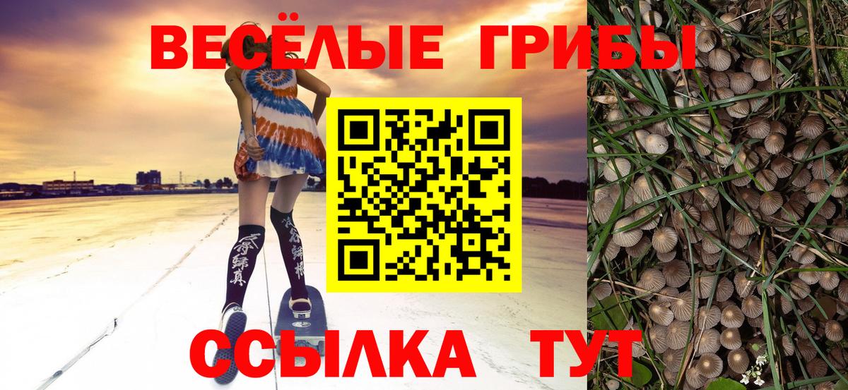 Галлюциногенные грибы мухоморы  Вход с VPN  Новоуральск 